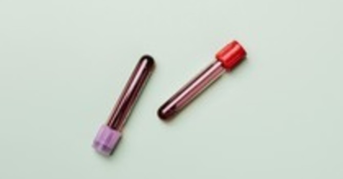 Hormone Therapy